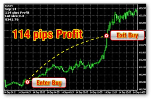 Product picture Forex Trading system indicator hunt pips